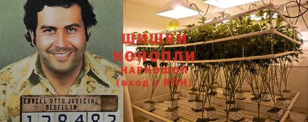 PSILOCYBIN Богородицк